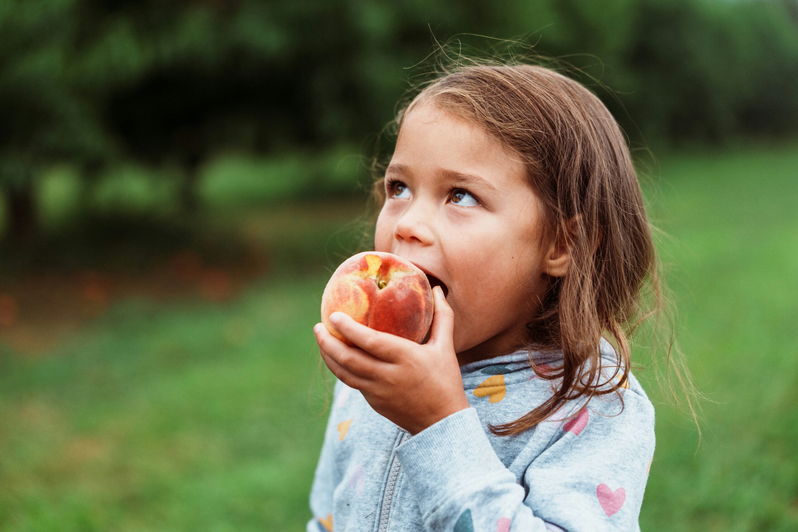 פרויקט חדשני בקריית ביאליק: איך תזונה נכונה בגיל הרך עשויה לשנות את הבריאות של הילדים בעיר?