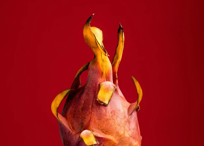 behnam-norouzi-nbOc6JsHmvk-unsplash