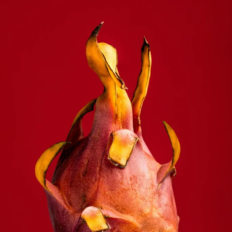 behnam-norouzi-nbOc6JsHmvk-unsplash